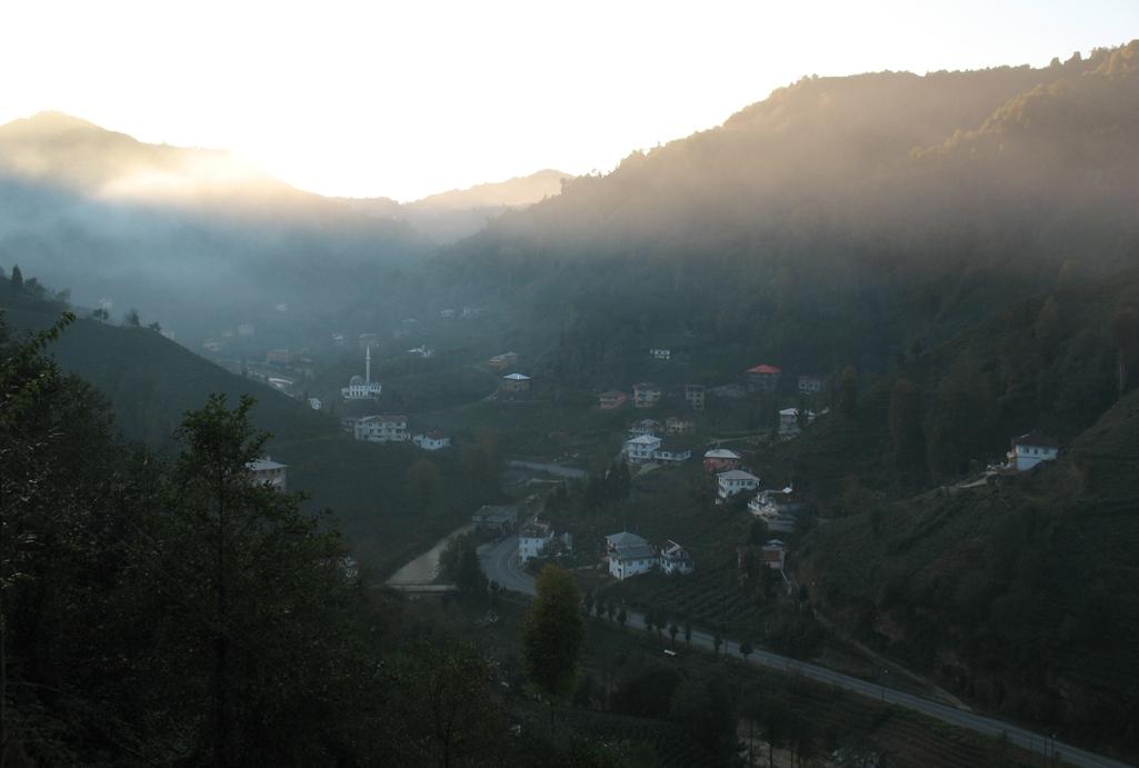 resimler yesilkoy cayeli rize
